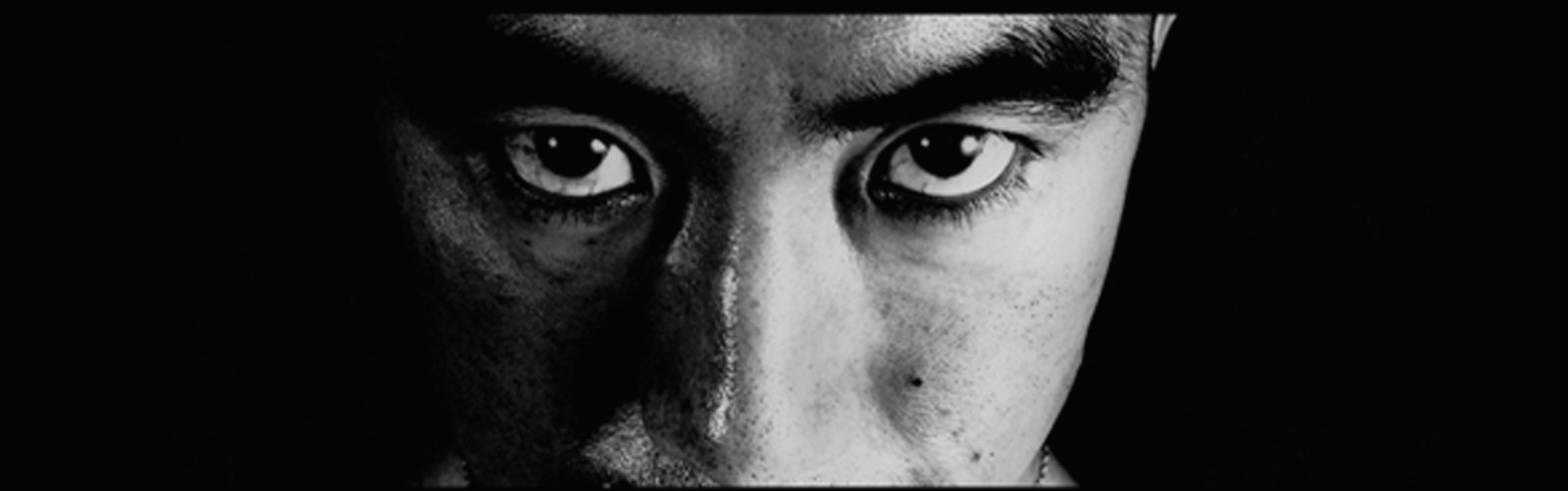 Nel ventre di Mishima